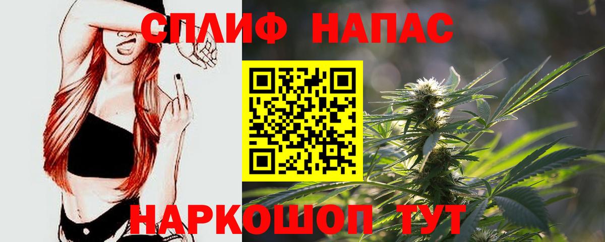 Бошки Шишки семена  Вход с VPN  Канабис марихуана  Конопля индика  Удомля 